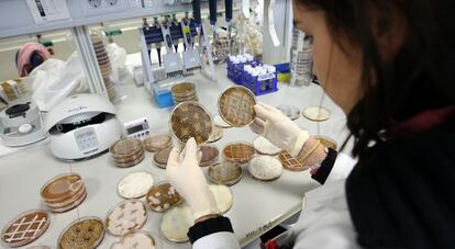 Cultivos de bacterias de una empresa del campus tecnológico de Granada.