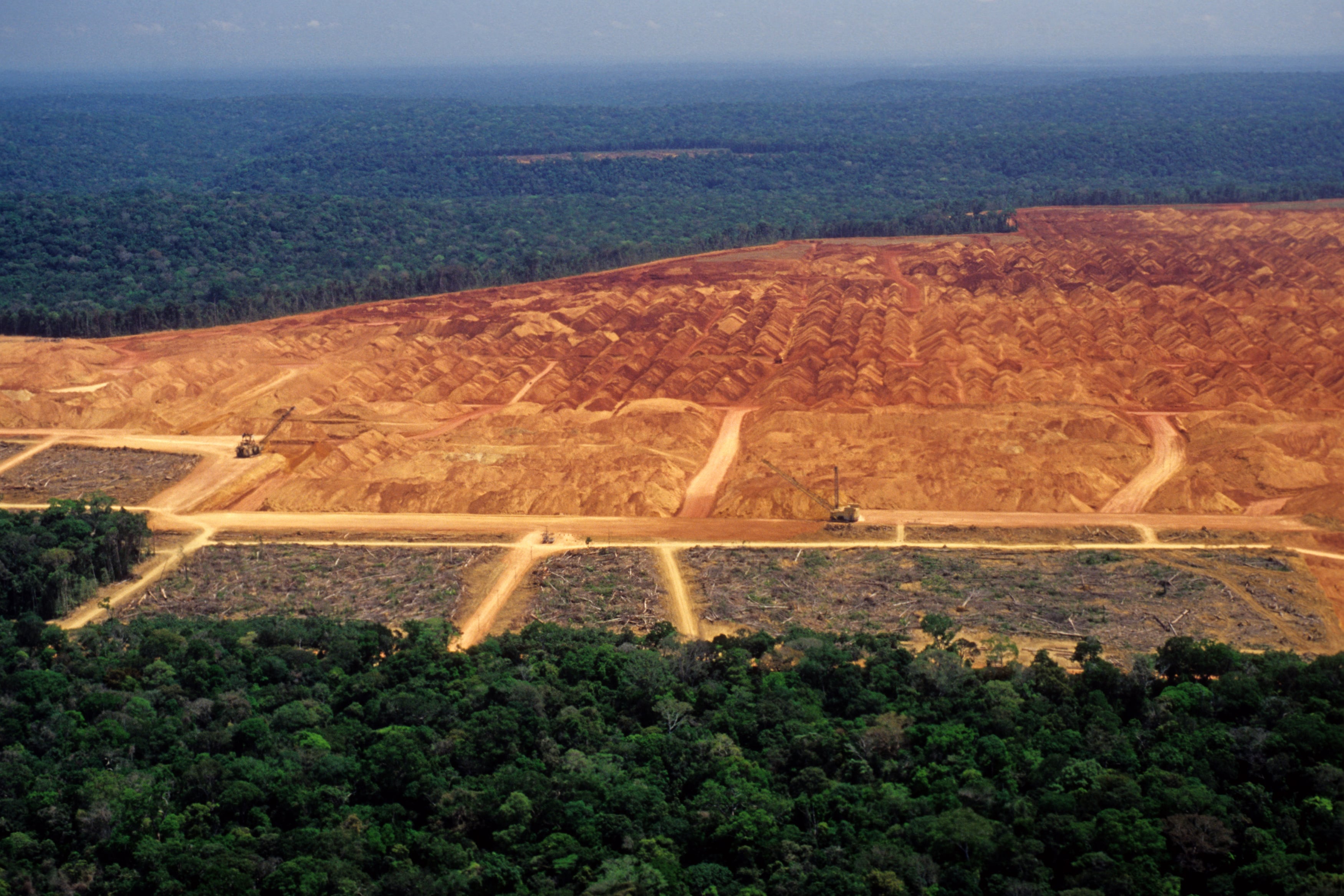 Urge restaurar tierras para la paz y el desarrollo