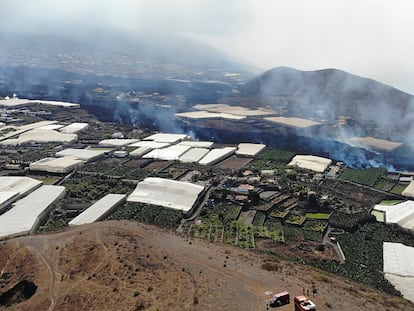 Vista de la nueva colada desde la montaña de La Laguna (La Palma), este domingo.
