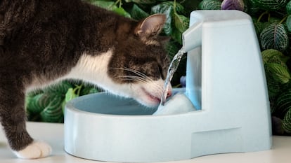 Cuentan con sistemas de filtración de calidad, para evitar las bacterias y la suciedad en el agua. GETTY IMAGES.