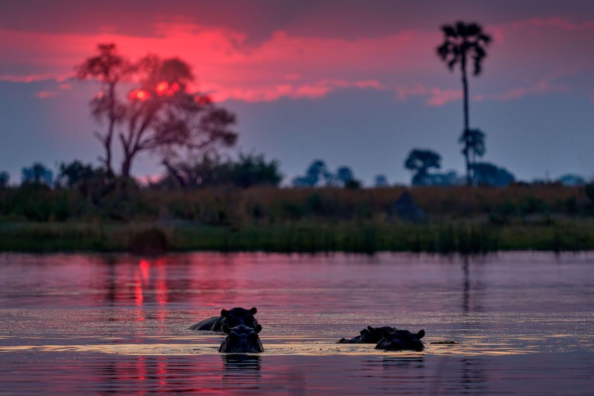 Best in Travel 2026: los 25 mejores destinos y experiencias para descubrir el año que viene, según Lonely Planet