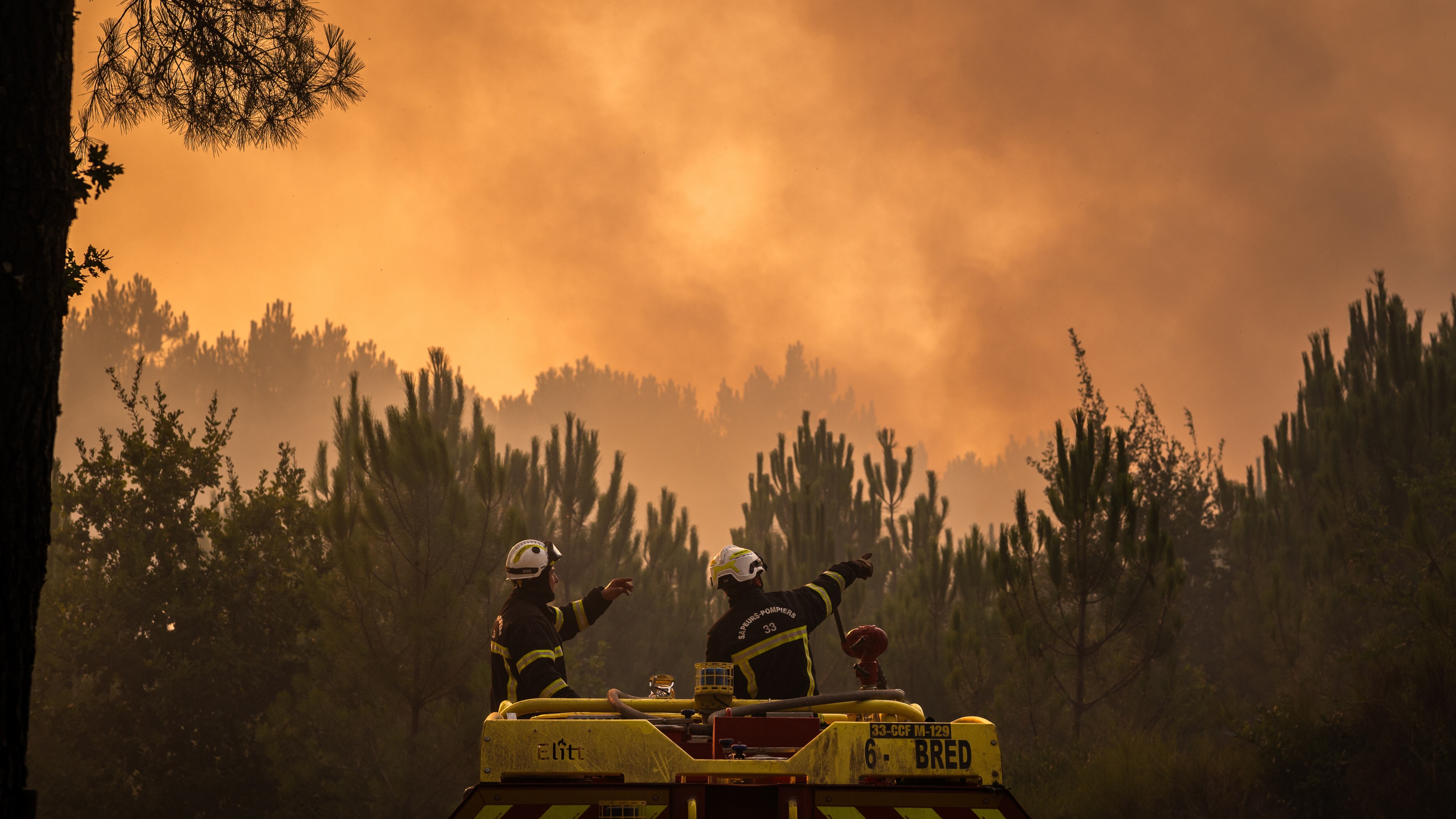 Gironda, el incendio que desbordó a Francia: “Sin la solidaridad internacional, habría sido dramático”