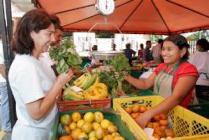 Señora comprando fruta en el puesto de un mercadillo