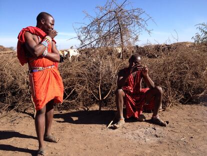 Dos pastores Masai descansan junto al cercado para sus vacas y cabras, a las que deben proteger del ataque de depredadores como los leones, leopardos y guepardos.