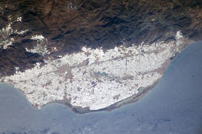 The 20,000 hectares of plastic greenhouses in Almería province's Campo de Dalías, as viewed from the ISS on February 7, 2004. The fruit and vegetables that grow here are a €1.3-billion business.