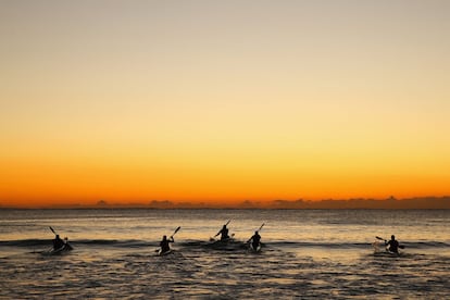 Remo al atardecer en la paya de Manly en Sidney, Australia.