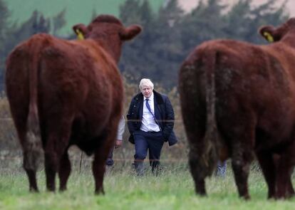 El primer ministro británico Boris Johnson pasea por una granja cerca de Aberdeen, Escocia.
