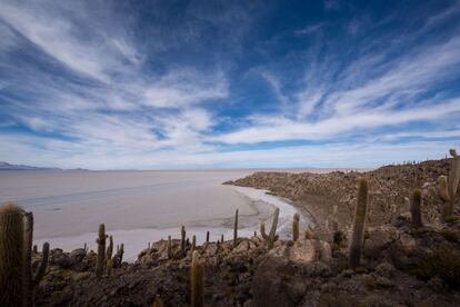 La isla Incahuasi (en quechua: “la casa del Inca”) resulta un oasis en mitad del desierto. Trepando por su superficie escarpada se puede apreciar la inmensidad del salar, una extensión de más de 10.000 kilómetros cuadrados, el equivalente a un tercio de la superficie de Bélgica.