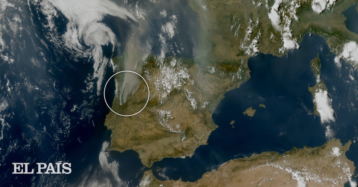 El humo de los incendios visto con satélites: alcanzó tres países con emisiones récord