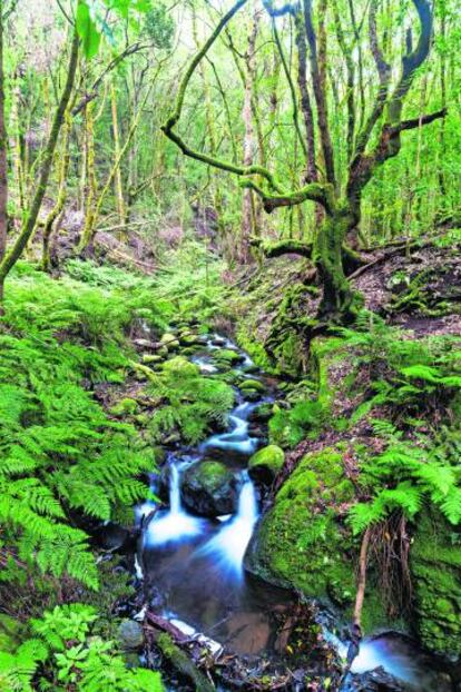 Una cascada en el parque de Garajonay, en La Gomera.