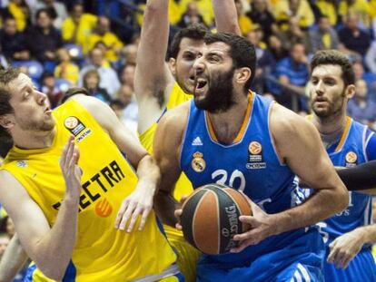 Bourousis ante Ingles