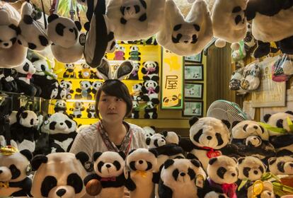 Puesto de 'souvenirs' con peluches de oso panda en Chengdú (China).