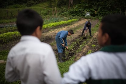 Niños desplazados en una escuela internado en una granja cafetalera en Tena (Departamento de Cundinamarca), en 2019.