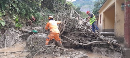 Cerca del mediodía, las autoridades ya habían hallado 14 cuerpos sin vida y otras seis personas encontradas fueron trasladas a a puestos de salud y hospitales cercanos en Cundinamarca y el vecino departamento del Meta, ha explicado el gobernador. En la imagen, los equipos de rescate retiran un árbol caído que bloquea una calle en Quetame. 