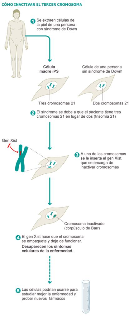 Fuentes: Nature y elaboración propia.