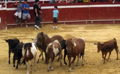 Uno de los encierros mixtos en la plaza de toros de Llodio.