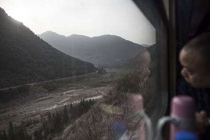 Un hombre observa el paisaje desde el tren.