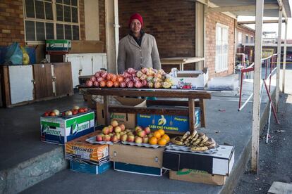 Una vendedora ambulante vende frutas y dulces en Mpumalanga, Sudáfrica.