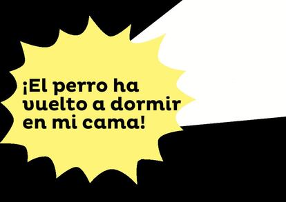 Usted le ha montado su camita en el suelo. Pero es tan cariñoso… ¿Cómo va a echarlo?