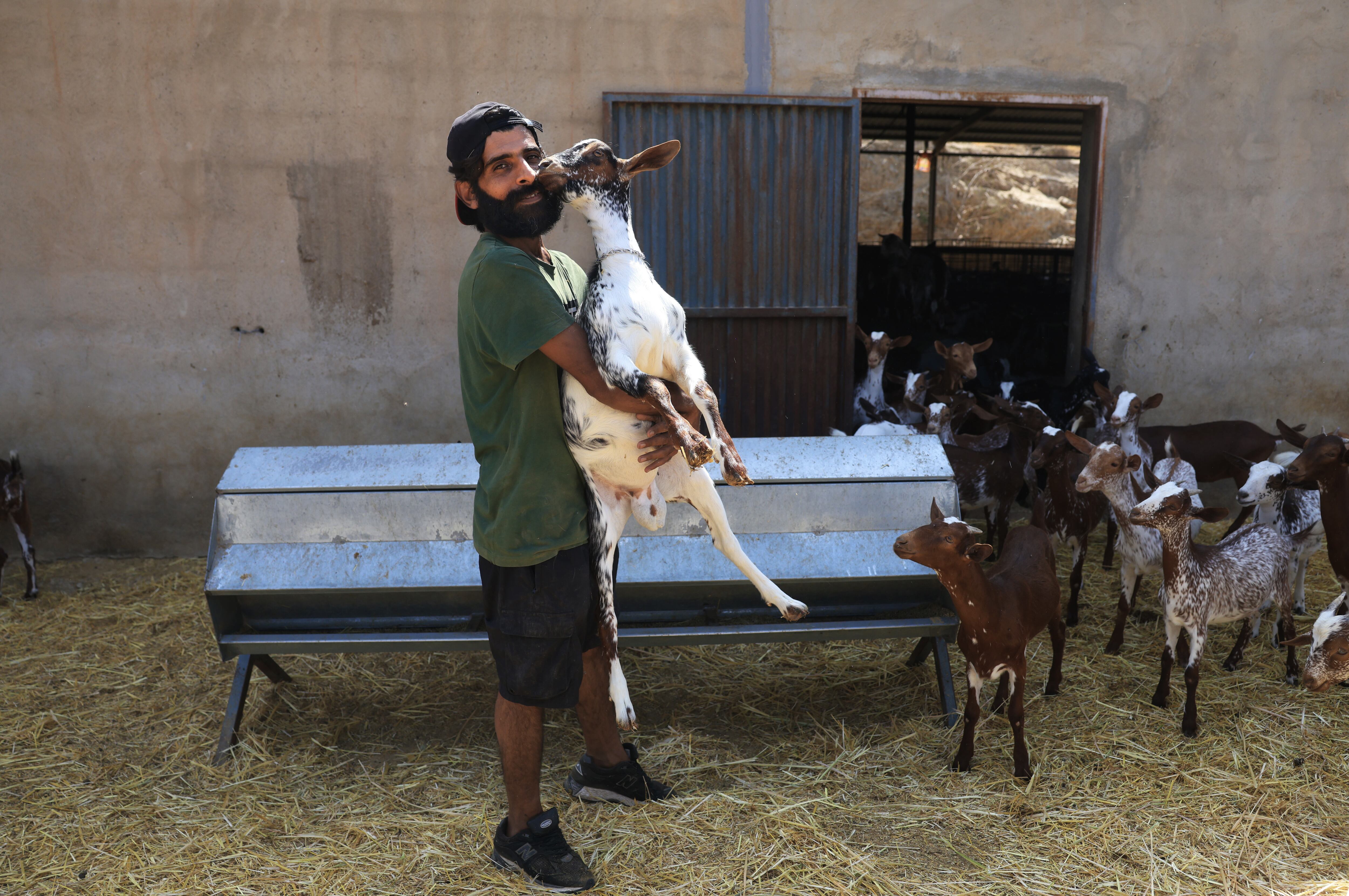 Wahid, con algunas cabras del rebaño que tiene en Bédar, este lunes.