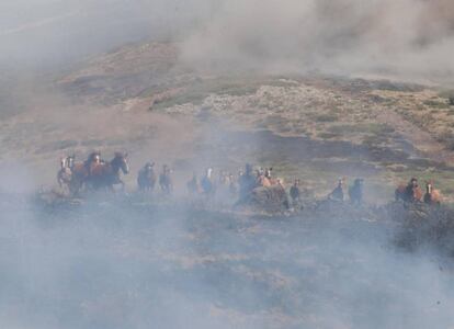 Caballos que pastaban en el monte cuando se inició el incendio en La Granja el pasado domingo