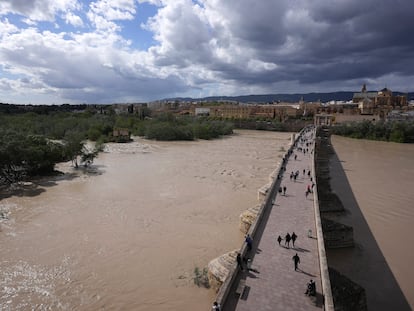 Decenas de personas pasean por el Puente Romano, este lunes en Córdoba, tras la crecida del río Guadalquivir causada por las lluvias de Semana Santa.