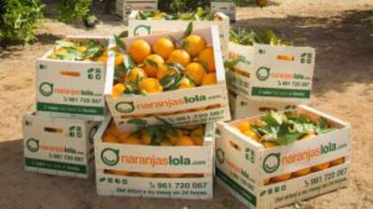 Naranjas Lola