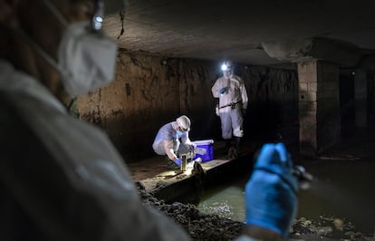 Los técnicos toman muestras de las aguas residuales de Valencia en busca del virus.