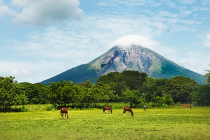 Ometepe (Nicaragua) es un lugar de volcanes, senderos y cascadas en medio de un lago. Dos picos volcánicos gemelos conectados por un istmo se asoman sobre el lago Nicaragua, formando la isla de Ometepe, con forma de reloj de arena sobre el cuerpo de agua dulce más grande de América Central. A estos dos conos se les conoce como “fuego y agua”. El primero, el volcán Concepción, es un estratovolcán temperamental que entra en erupción con mucha frecuencia. El segundo, el volcán Maderas, es un montículo inactivo más pequeño, cubierto de bosques en los que viven juguetones capuchinos de cara blanca y monos aulladores: estos ruidosos habitantes son el ‘despertador’ matutino de los visitantes de la isla, que viajan hasta aquí atraídos por la original propuesta de ecoturismo de bajo impacto que beneficia a las comunidades locales. Pero Ometepe es mucho más que un paraíso natural: ha sido durante miles de años un sitio sagrado para varios pueblos indígenas, como los chorotegas, los náhuatl y los mayas, que dejaron su huella en la isla y la convirtieron en uno de los mayores conjuntos de arte rupestre del mundo. Hay más de 1.700 petroglifos que datan del año 1.000 antes de Cristo y grandes ídolos de piedra grabados en basalto. Otro de los iconos del lugar es la cascada San Ramón: 40 metros de caída de agua sobre una roca cubierta de musgo, sobre una piscina color verde esmeralda, perfecta para refrescarse del calor tropical. Un rincón tan ‘instagrameable’ como lo es también Punta Jesús María, una estrecha lengua de arena que se adentra en el lago, formando un escenario perfecto. Quienes quieran practicar el senderismo pueden ir a Charco Verde, siguiendo una de las tres rutas de senderismo que serpentean a través de esta exuberante reserva natural, presidida por un tranquilo lago, un jardín de mariposas y una playa de arena negra. La otra opción es la caminata al volcán Concepción, siguiendo un sendero de ida y vuelta de siete a diez horas hasta el cráter humeante en la cima de este volcán de 1.610 metros con vistas panorámicas de la isla en los días despejados.