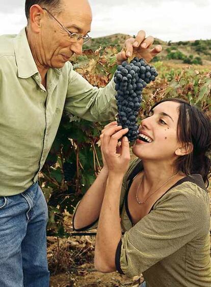 Antonio y María Alfonso producen vinos con etiqueta ecológica. "Nos interesa lograr un vino saludable, no de cara a la galería". Acaban de cosechar alrededor de 30.000 kilos de uva tinta de Toro (Zamora). "De la cosecha de este año saldrán 8.000 botellas de su vino Volvoreta Probus [premiado, entre otros, por el afamado Robert Parker con 91 puntos], y 11.000 de Buen Amor". Todos sus caldos ostentan etiqueta ecológica. Cultivo sostenible. Ausencia de pesticidas.