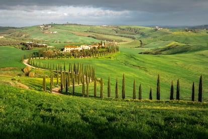 Toscana (Italia). Después de enamorarse de las maravillas renacentistas de Florencia, es casi obligado ir hacia las colinas y las carreteras flanqueadas de cipreses de la Toscana rural para dejarse seducir de nuevo. No es solo el paisaje el que enamora, sino también los pueblos medievales, la comida y vinos excelentes, y un ritmo de vida que obliga a alargar el almuerzo y a pasear sin prisas. La estrella del espectáculo es Siena, el sempiterno rival de Florencia que prosperó a principios del siglo XIV, pero fue afectada por la peste en 1348. Su buena estrella se quebró, la ciudad entró en decadencia, dejando sus maravillas arquitectónicas intactas. En San Gimignano, los mercaderes medievales se lucieron construyendo torres, a cuál más alta, mientras Volterra nos despertará el interés por los romanos, los etruscos y el medievo. También hay que brindar en Montalcino o Montepulciano con los vinos más preciados de la región. Inicio: Florencia. Final: Montepulciano. Distancia: 205 kilómetros.  