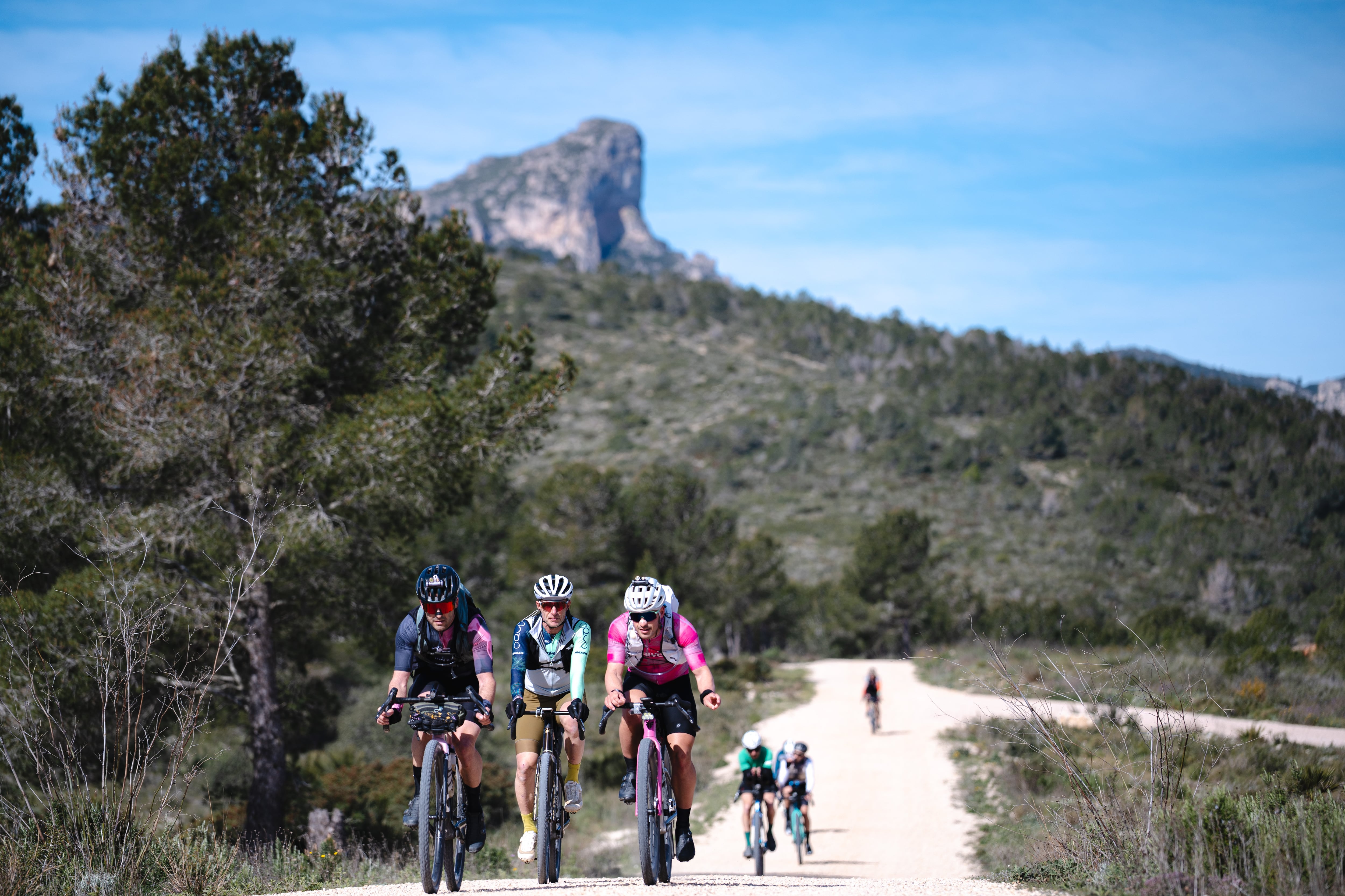 En bici por las Terres de l’Ebre: desde las llanuras del delta hasta la montaña salvaje de Els Ports