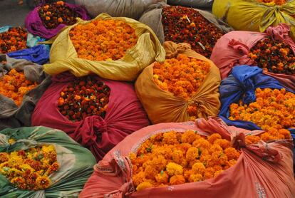 Muestras de flores en el festival Grand Floral Affair, en Jaipur (India).