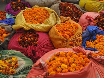 Muestras de flores en el festival Grand Floral Affair, en Jaipur (India).