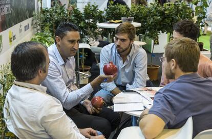 Un productor de granadas muestra su fruta a compradores durante la edición del año pasado.