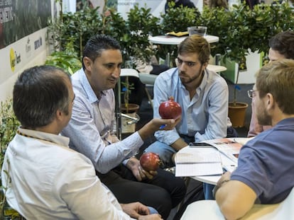 Un productor de granadas muestra su fruta a compradores durante  la edición del año pasado.