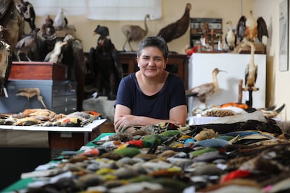 Letty Salinas, bióloga y jefa del Departamento de Ornitología del museo peruano, posa con parte de la colección de aves.