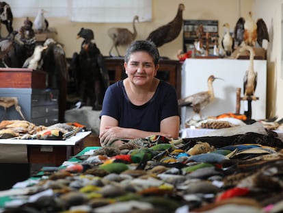 Letty Salinas, bióloga y jefa del Departamento de Ornitología del museo peruano, posa con parte de la colección de aves.