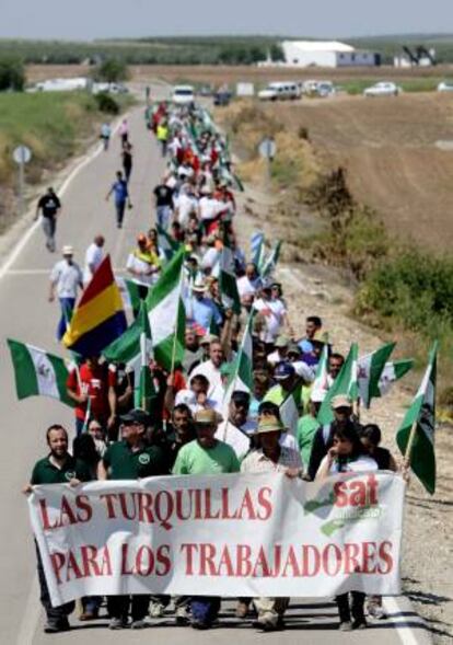 Cientos de jornaleros del Sindicato Andaluz de Trabajadores (SAT) han vuelto a entrar esta mañana en la finca propiedad del Ministerio de Defensa "Las Turquillas", ubicada en Osuna (Sevilla).