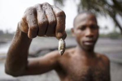 Fotografa cedida por la ONG holandesa "Milieudefensie" en la que un pescador muestra un pez afectado por la contaminacin de petrleo en Goi (Nigeria). EFE/Archivo