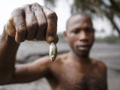 Fotografía cedida por la ONG holandesa "Milieudefensie" en la que un pescador muestra un pez afectado por la contaminación de petróleo en Goi (Nigeria). EFE/Archivo