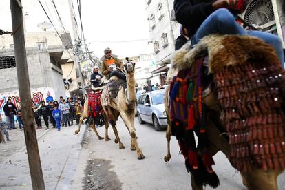 Os beduínos desfilam com seus camelos durante um casamento pelas ruas da cidade, no dia 15 de fevereiro de 2019. As famílias contratam os camelos para entreter os convidados durante as celebrações, que com frequência se convertem em um espetáculo para toda a comunidade.