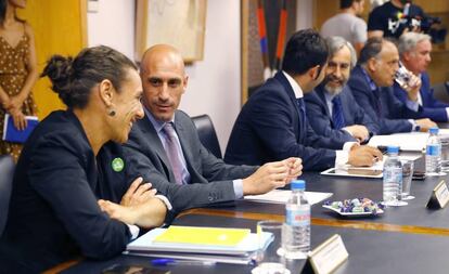 El presidente de la Asociación de Futbolistas, Luis Rubiales (2i) durante la reunión de la comisión directiva del Consejo Superior de Deportes que suspendió a Villar