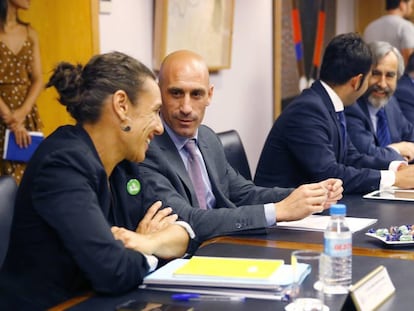 El presidente de la Asociaci&oacute;n de Futbolistas, Luis Rubiales (2i) durante la reuni&oacute;n de la comisi&oacute;n directiva del Consejo Superior de Deportes que suspendi&oacute; a Villar