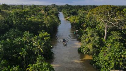 Fotografía aérea de un bote navegando por un río en una zona de la floresta Amazónica, en agosto de 2023, en el estado de Pará, norte de Brasil.