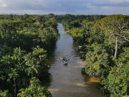 Fotografía aérea de un bote navegando por un río en una zona de la floresta Amazónica, en agosto de 2023, en el estado de Pará, norte de Brasil.