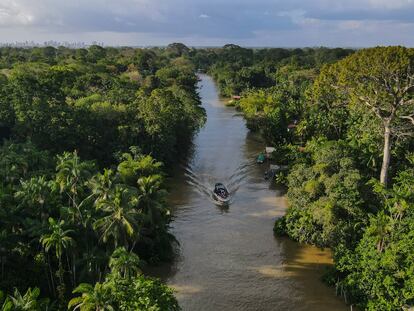 Aerial view of a boat navigating a river in an area of the Amazon rainforest, in the state of Pará, northern Brazil, on August 6, 2023.