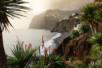 Cabo Girão (Madeira, Portugal). Unos 12 kilómetros al oeste de Funchal está el icónico enclave de cabo Girão, uno de los acantilados más altos de Europa, con 580 metros y una plataforma de cristal suspendida. Cerca queda Câmara de Lobos (en la foto), un pueblo pesquero en el que Winston Churchill pasó una temporada pintando. 