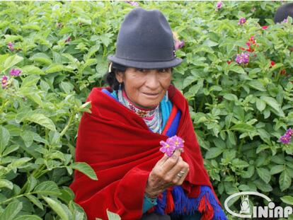 Los pequeños productores, dueños de su vida