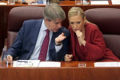 &Aacute;ngel Garrido y Cristina Cifuentes en un pleno de la Asamblea de Madrid. 